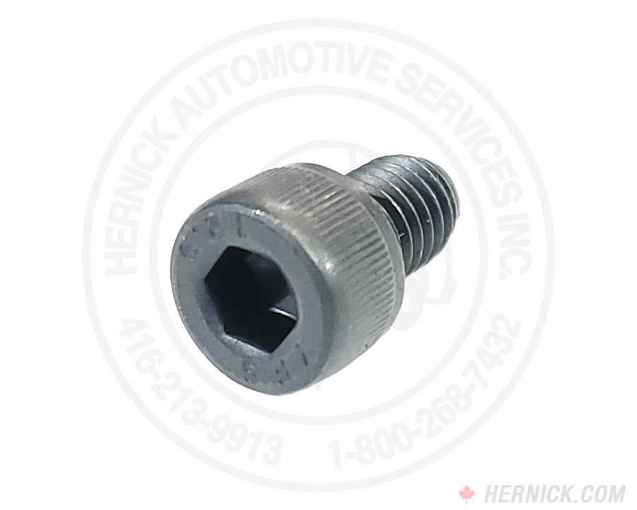 Screw for TLS Arm Pad (32100020)