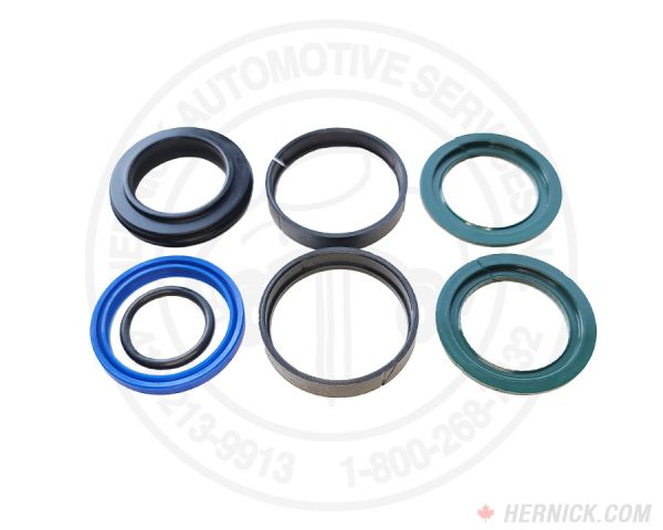 Seal Kit for TLS210MRR1 2-Post TLS Hoists