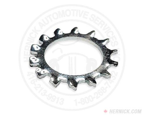 Washer, 7/8" External Tooth (41072)