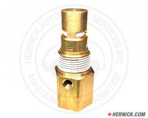 Check Valve (CV-N1010ST)