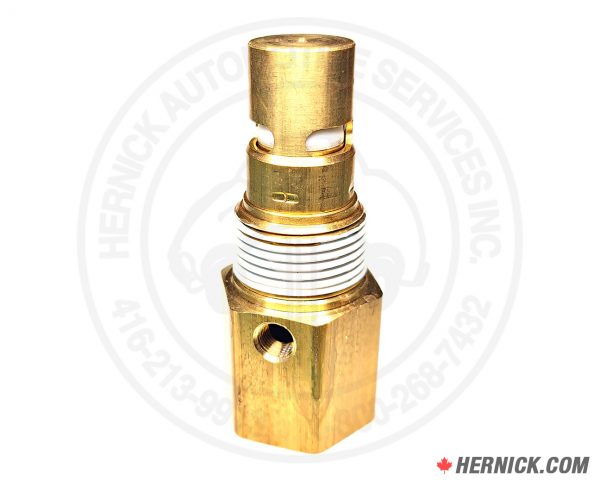 Check Valve (CV-N1010ST)