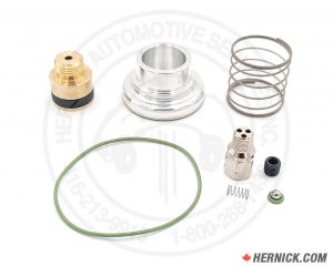 Air Intake Valve Repair Kit (PS-260260050)