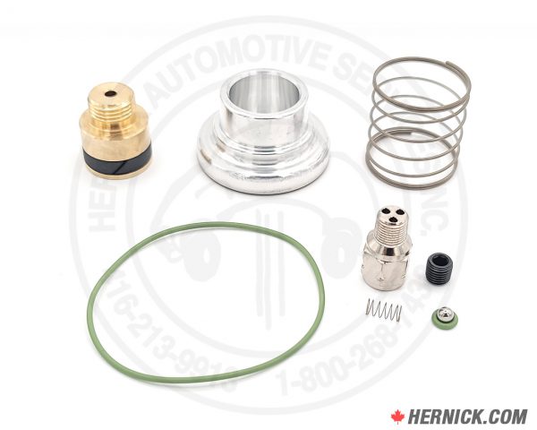 Air Intake Valve Repair Kit (PS-260260050)