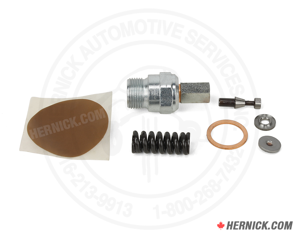 Rotary P1000-7 brown identification hydraulic power pack pressure relief valve rated at 160 bar.