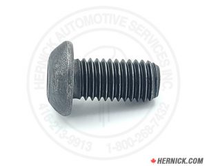 M10 Stop Bolt (41650)