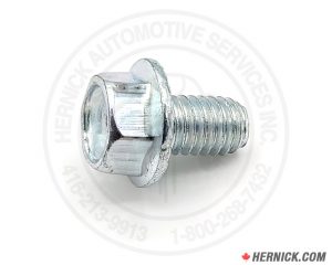 Hex Head Whiz Flange Bolt (40386)