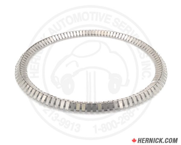 Expander Spring (12”) for U-Cup Seals (103620)