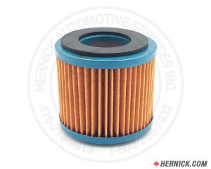 Intake Filter Element for Rotary DEV55 (PB-21177010)