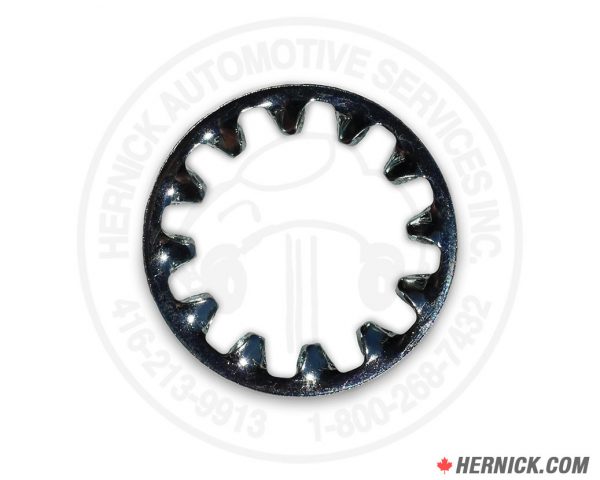 Internal Tooth Lock Washer (40868)