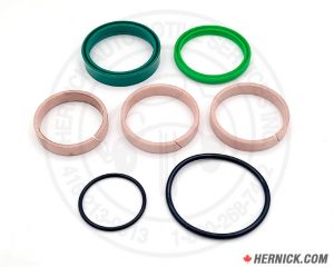 Seal Kit (Genuine OEM) For Rotary Lift 2-Post Cylinders N380Y N3156 (N380Y-9180)