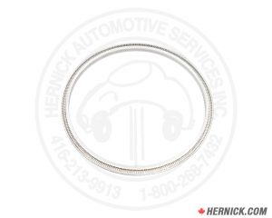 Cylinder Wiper Seal for Rotary Smart Lifts (T140118)