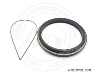 Rotary JK227KIT hydraulic cylinder rebuild kit containing replacement seals and a JK225-2 coil spring