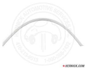 UHMW Bearing for Rotary Smart Lifts (T140148)