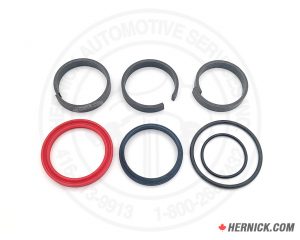 Rotary N343-13 hydraulic cylinder seal kit containing assorted replacement seals and O-rings